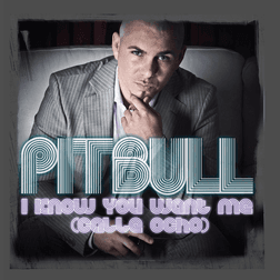I  know you want me Pitbull