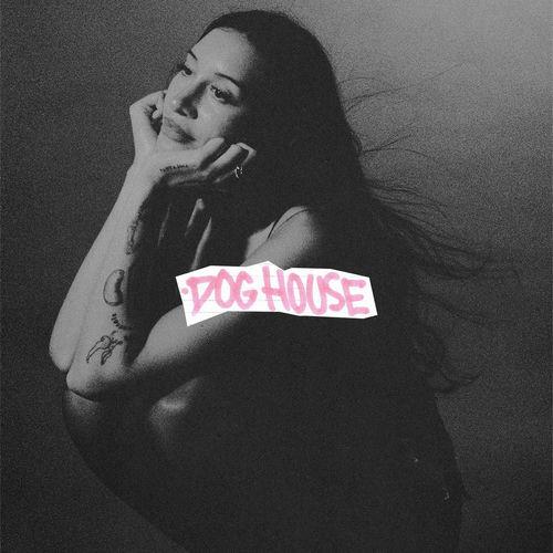 Drake, Julia Wolf & Yeat - DOG HOUSE (Lyrics)