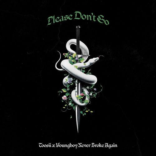 Toosii, YoungBoy Never Broke Again - Please Don't Go Lyrics