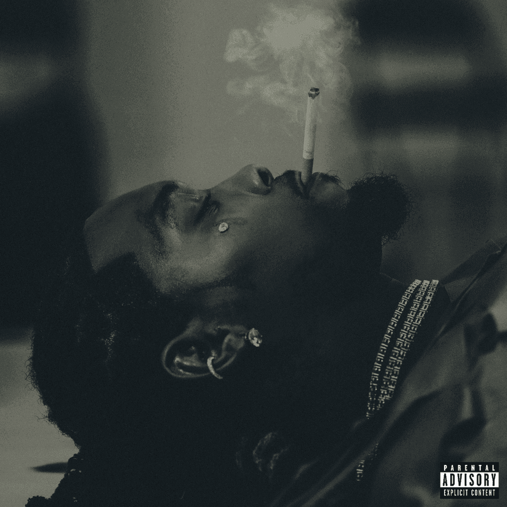 Offset, Gunna - Different Species Lyrics