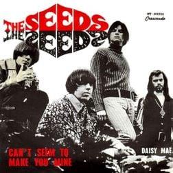 Can't Seem to Make You Mine The Seeds