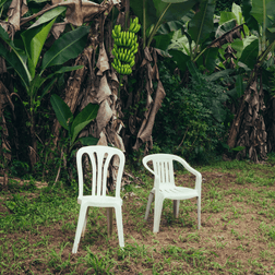 Bad Bunny – CAFé CON RON (feat. Los Pleneros de la Cresta) Lyrics