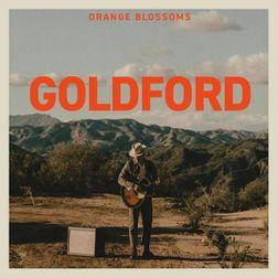 Shine Through GoldFord Lyrics
