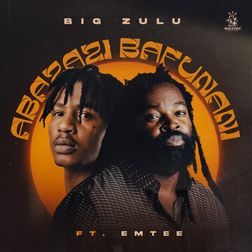 Cover art for Big Zulu