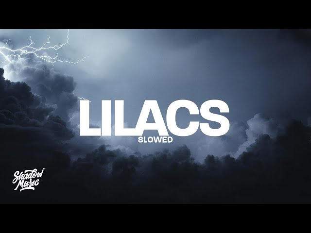 Cover art for  lilacs - slowed