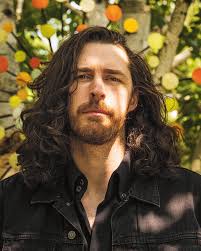 Image of Hozier