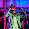 Image of 803Fresh