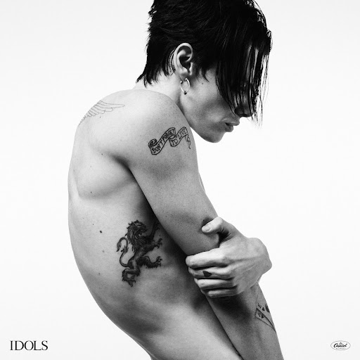 Cover art for Idols (2025)