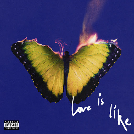 Yes I Did Album Cover