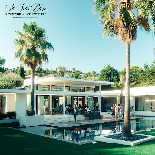 Tu sais bien Album Cover