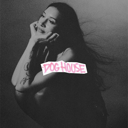 Drake, Julia Wolf & Yeat – DOG HOUSE (Lyrics)
