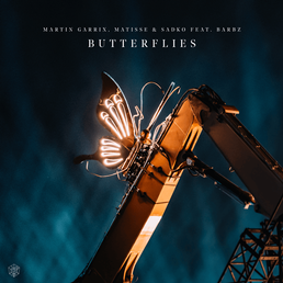 Butterflies Album Cover