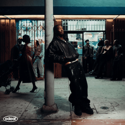 Nights In The Sun Album Cover